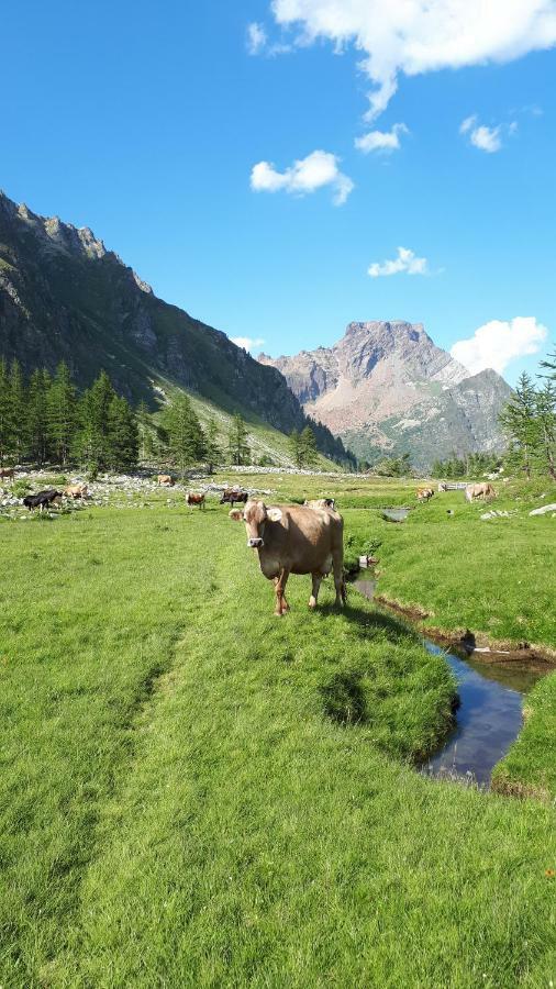 La Piana Appartamenti Alpe Devero Eksteriør bilde